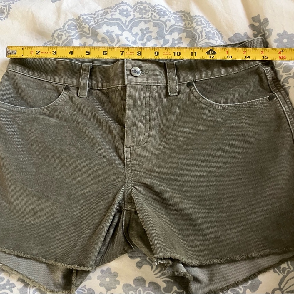 Carve Designs Oahu 4 inch shorts in Olive